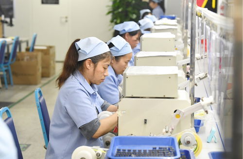 袁州區(qū) 產(chǎn)品出海勢(shì)頭勁，企業(yè)生產(chǎn)倉儲(chǔ)忙