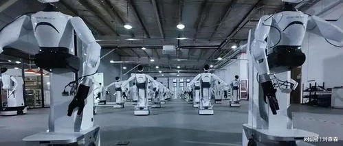 60億元合約刷屏，人形機(jī)器人從秀場(chǎng)到車間 倉儲(chǔ)業(yè)交付才是生死線